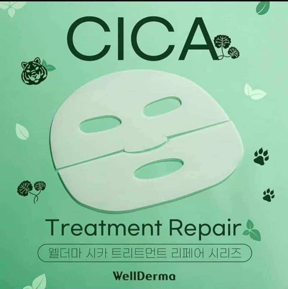 WellDerma Premium Cica Treatment Repair Fitting
Mask 25g, 4 stk.